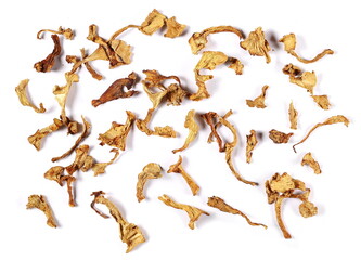 Dried chanterelle mushroom, (Cantharellus cibarius) isolated on white, top view