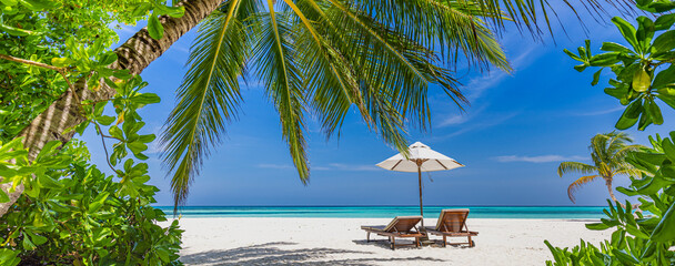 Beautiful tropical beach banner. White sand coco palms travel tourism wide panorama. Summer sea horizon, idyllic island nature scene. Amazing beach landscape. Luxury island resort vacation or holiday
