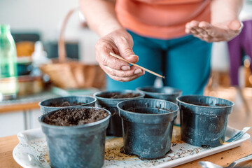 Farmers woman hands with gardening gloves planting seeds in pot at home