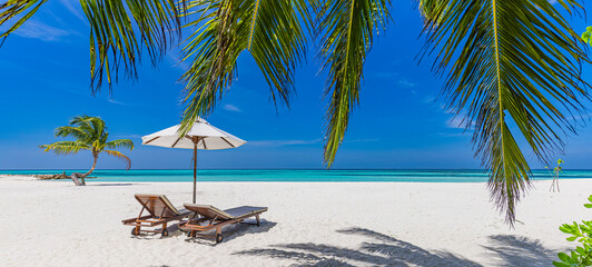 Beautiful tropical beach banner. White sand coco palms travel tourism wide panorama. Summer sea horizon, idyllic island nature scene. Amazing beach landscape. Luxury island resort vacation or holiday