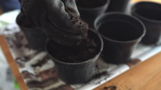 Farmer's hand in gloves holds a plastic pot with earth. Preparing seedlings for gardening. High quality photo
