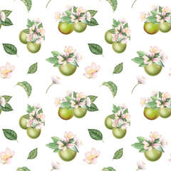 Seamless pattern with hand drawn green apples, apple tree flowers and leaves on a white background