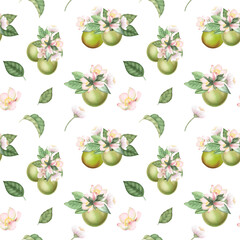 Seamless pattern with hand drawn green apples, apple tree flowers and leaves on a white background