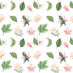 Seamless pattern of spring apple tree flowers and leaves, hand drawn illustration on white background