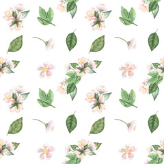 Seamless pattern of spring apple tree flowers and leaves, hand drawn illustration on white background