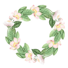 Wreath of apple tree branches and flowers, isolated illustration on a white background