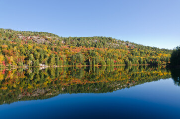 Sunrise above forest lake