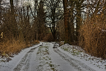 Kręta , gruntowa droga biegnąca przez zadrzewiony obszar ( las) zimą , posypana śniegiem . - obrazy, fototapety, plakaty