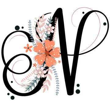 recommend clip art: Alphabet ornaments. LETTER N floral vector with flowers and leaves, vintage handwritten, Decoration vintage for invites card and other concept ideas. Illustration letter N anniversary	
                    