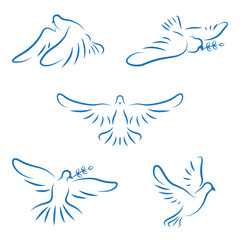 Set dove icon. Line style of a dove flying, symbol of peace.