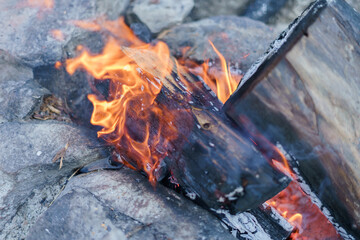 Fire burning wood. Camping Concept