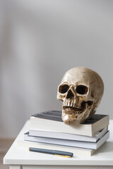 Pile of the book with a human plastic skull is over white background