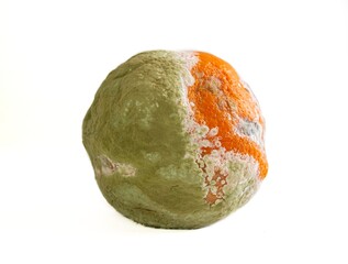 Rotten orange fruit isolated on white background