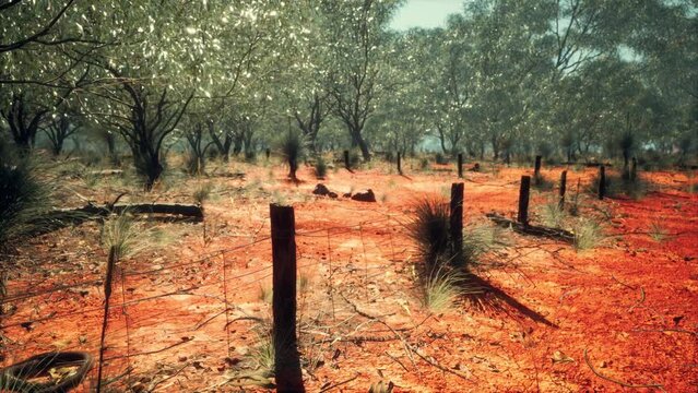 Dingoe fence in the Australian Outback