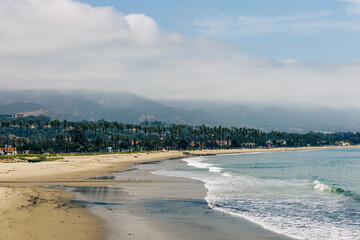 Santa Barbara, California. USA. Tropical tall palm trees on residential area near the beach of Santa Barbara.