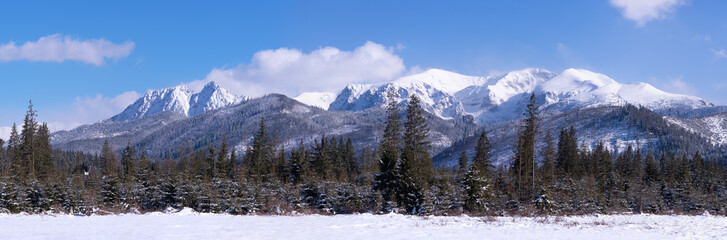 panorama of Tatra mountains in winter.