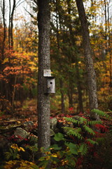 OHara Mill Homestead and Conservation Area in Ontario, Canada.