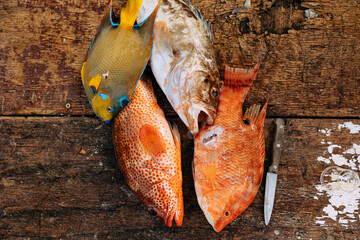 Fresh, colorful fish lying on a wood table ready to be cleaned