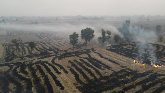 Drone moving forward towards the trees and smoke, rising from the burning stubble of rice fields.