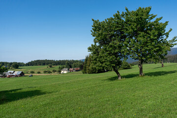 Beautiful nature scenery of Slovakia, landscape photography, abandoned place