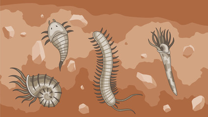 Era of Earth history. Scene with various simplest animals in soil layer. primary buried underground © the8monkey