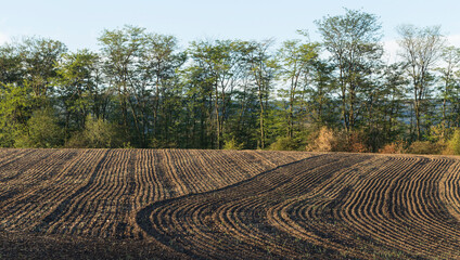 Agricultural lands are plowed, and prepared for vegetation.