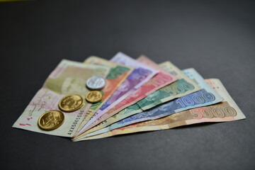 A closeup of Pak Rupee Coins and Bank Notes 