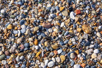 Wet pebbles on the beach. Multi-colored smooth pebble