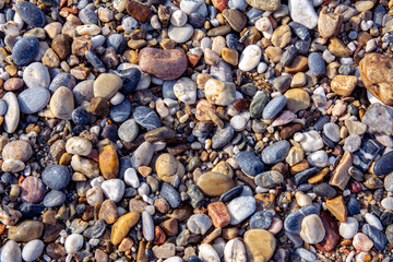 Wet pebbles on the beach. Multi-colored smooth pebble
