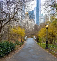 Papier Peint photo Pont de Gapstow Pont de Gapstow dans Central Park