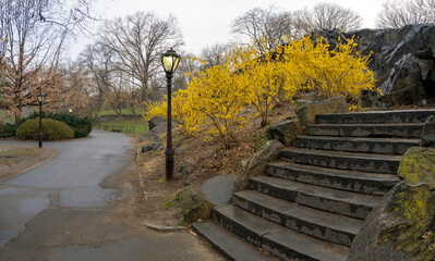 Central Park in spring