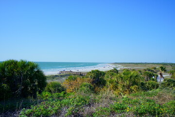 Fototapeta na wymiar Beach of Tampa bay, st petersburg and clearwater in Florida, USA