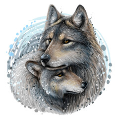 Wolves. Color, graphic portrait of a pair of wolves on a white background in watercolor style. Digital vector graphics.