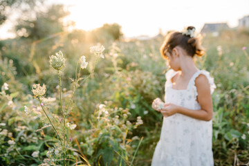 Naklejka na ściany i meble Tender little girl wearing natural white dress with wildflower motiv with wild carrot flowers in hair standing in the field at summer, outdoor lifestyle backlit photo.