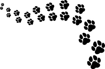 Trace and path of animal tracks, dog and cat moving away	
