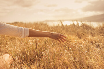 Female walking in field at sunset softly brushing her hand over tall grass. Feeling at peace in nature concept