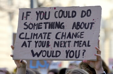 Schild auf einer Demo: "If you cold do something about climate change at your next meal would you?"