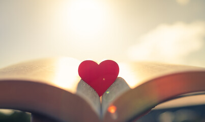 Open book up to the sunlight with heart in center. 