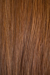Naklejka premium Natural Red Hair Texture, ginger color, macro.