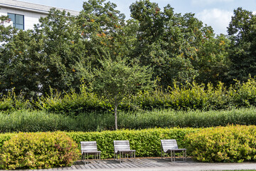 Picturesque Paris Public Parc Andre Citroen - Park located on left bank of river Seine in the 15th arrondissement. Paris, France.
