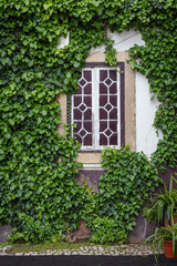 Fototapeta na wymiar Ornamental wooden window composes traditional residential architecture with vast green foliage.