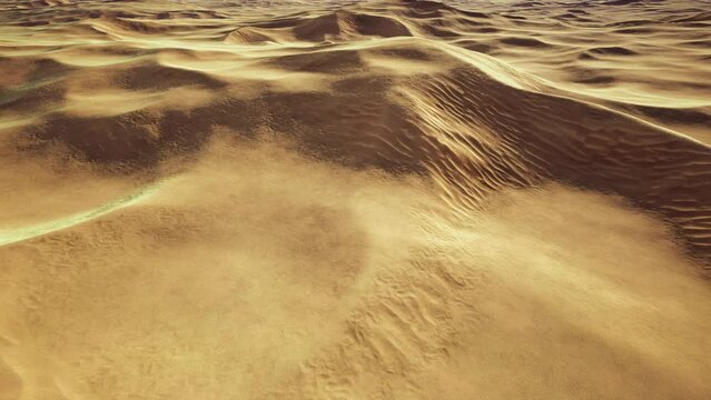 wide and wild landscape of the Arabic sand desert