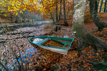 Picnic site with many benches in oak forest in Yedigoller National Park, Bolu Turkey. Empty picnic tables with autumn leaves, multiple colors