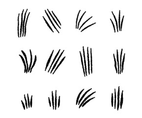 animal scratches set