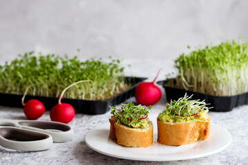 Little bruschettas with radish, avocado and microgreens on the table. Healthy lifestyle. Growing microgreens at home