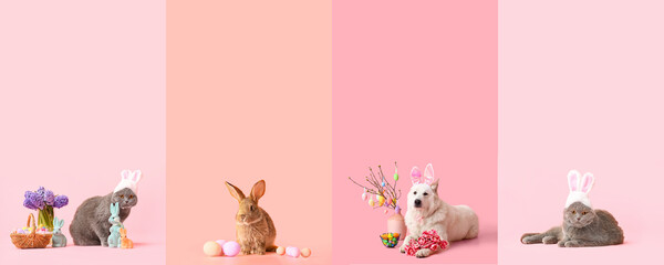 Set of different animals with Easter eggs and decor on colorful background