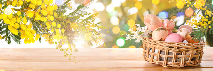 Blooming mimosa branches and Easter basket with painted eggs on table outdoors