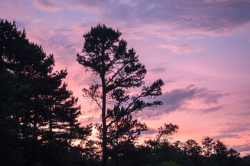 Fototapeta premium Southern Sunsets