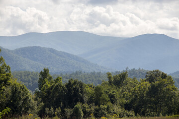 Summer in the Smokies