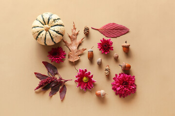 Beautiful autumn composition with chrysanthemum flowers and pumpkin on color background